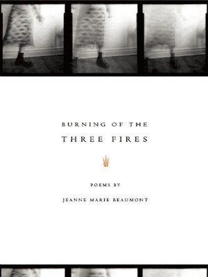 cover image of Burning of the Three Fires